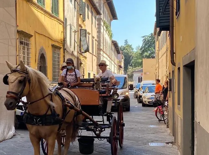 6 Via Della Rosa